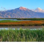 Milleyha Doğa Gözlem Merkezi, 13 Şubat’ta Üç Gün Sürecek “Doğa Buluşması” ile Kapılarını Açıyor.