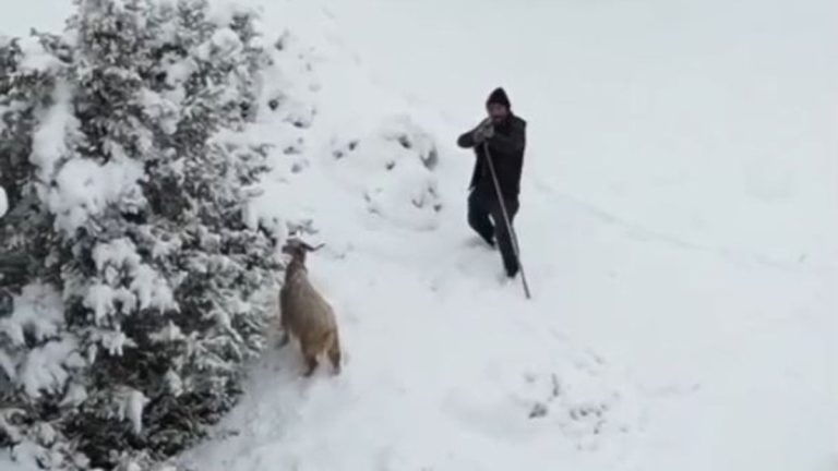 Nallıhan’da çoban, yaklaşan drone’u tehdit sanıp tüfek doğrulttu