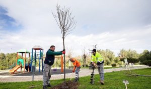 Narlıdere, Peyzaj Çalışmalarıyla Güzelleşiyor