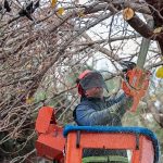 Öğrenciler tatilde, Konak Belediyesi ekipleri iş başında