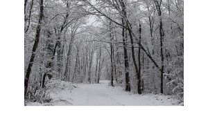 Ormanya’da kartpostallık kış manzaraları