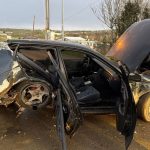 Sakarya’da köpeğe çarpmamak için direksiyonu kırdı