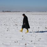 Şanlıurfa’da etkili olan kar yağışı çiftçiyi sevindirdi