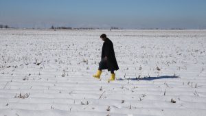 Şanlıurfa’da etkili olan kar yağışı çiftçiyi sevindirdi