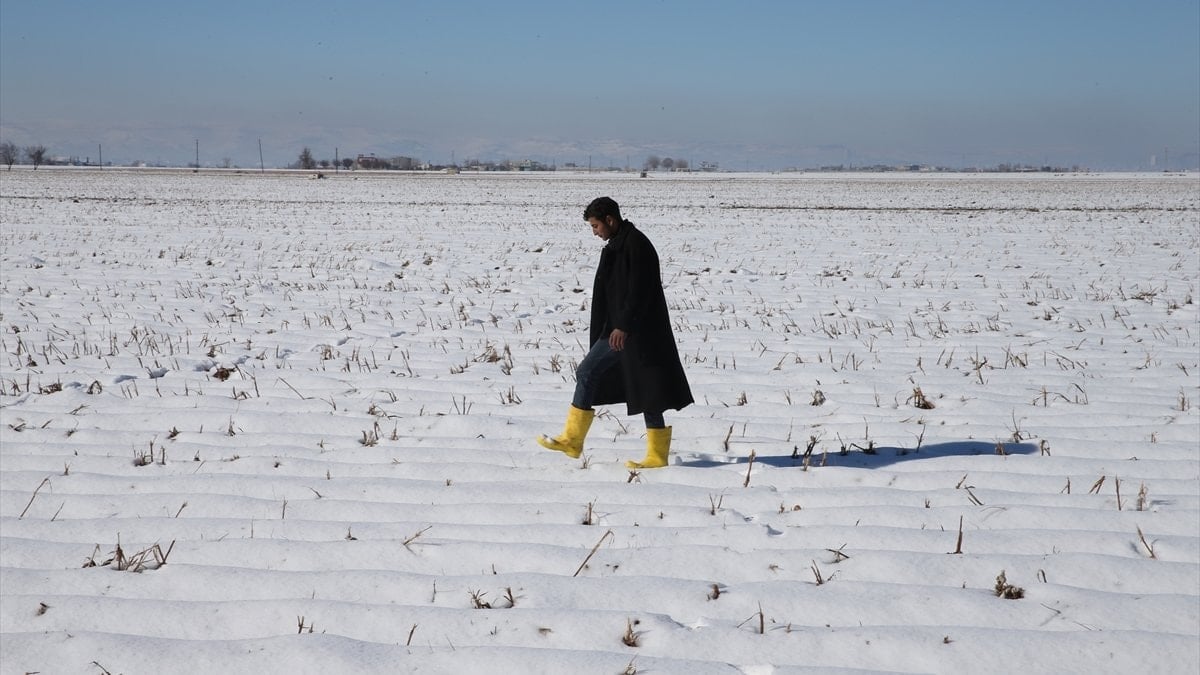 Şanlıurfa’da etkili olan kar yağışı çiftçiyi sevindirdi