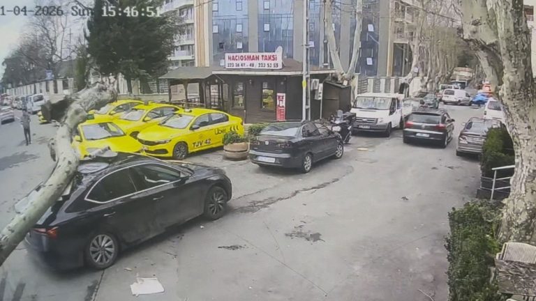 Sarıyer’de çınar ağacı, otomobilin üzerine devrildi