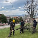 Şiddetli Lodosun Devirdiği Ağaçlara Osmangazi Belediyesi’nden Anında Müdahale 