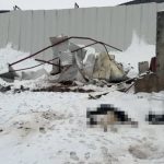 Siirt’te kar felaketi: Ahırlar çöktü