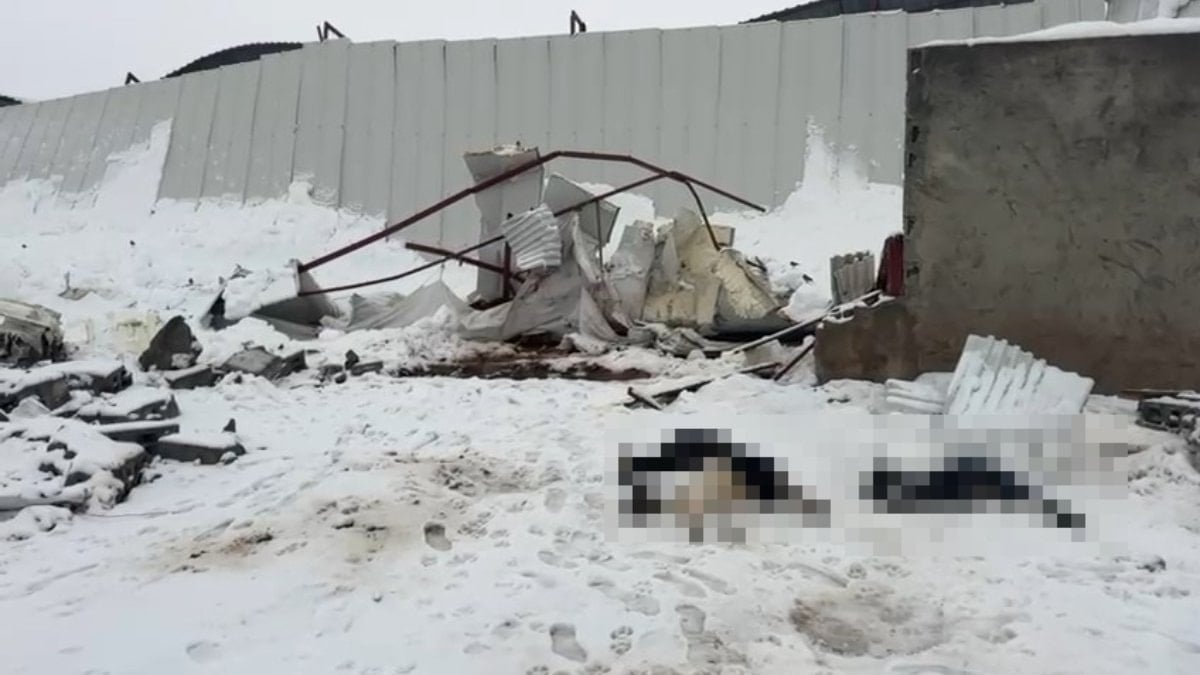 Siirt’te kar felaketi: Ahırlar çöktü