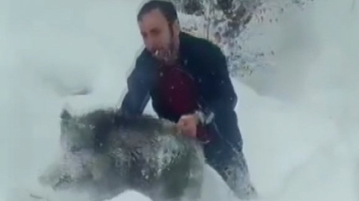 Sinop’ta eliyle domuz yakalayan kişiye 15 bin TL para cezası