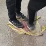 Suriye’nin Tabka kentinde teröristlerin afişleri parçalandı