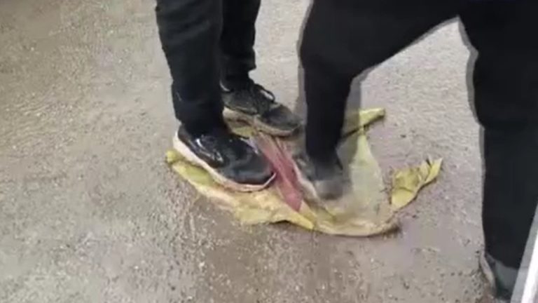 Suriye’nin Tabka kentinde teröristlerin afişleri parçalandı