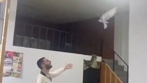 Takla atan güvercinine hayranlıkla baktığı anlarla gündem olan vatandaş yeni video geldi