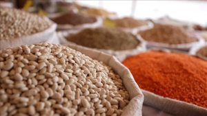 Tarım, gıda ve içecekte en çok ihraç edilen gıdalar