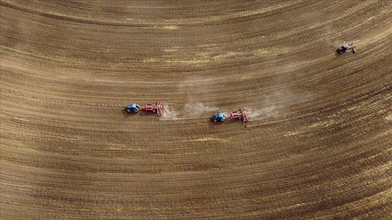 Tarım sayımı sonuçları yılın ikinci yarısında açıklanacak