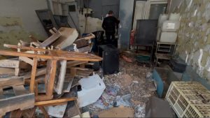 Tekirdağ’da sokakta fare paniği: Çevreyi kötü kokular sardı