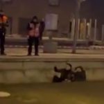 Terör örgütü PKK/YPG destekçileri Avrupa’da günlük yaşamı sabote ediyor