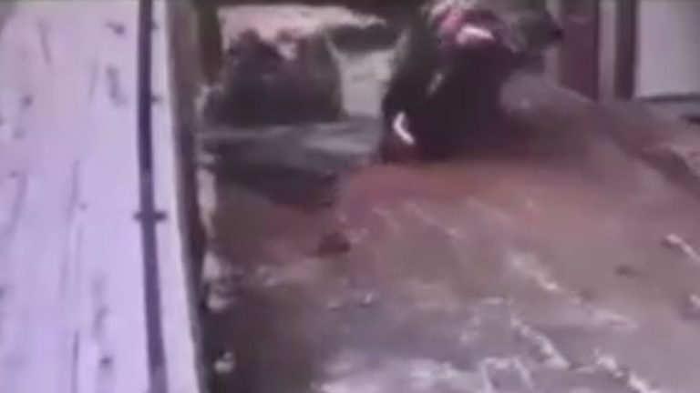 Trabzon’da buzlanan yolda kontrolden çıkan cip sitenin bahçesine uçtu