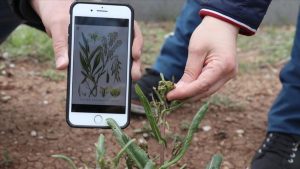 Tüketicilere güvenli ürünler için ticari adlarda düzenleme