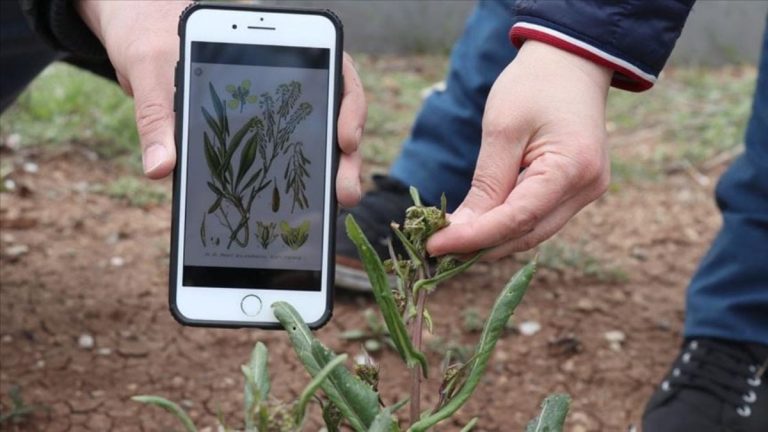 Tüketicilere güvenli ürünler için ticari adlarda düzenleme