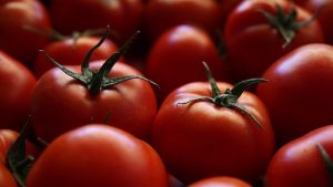 Türkiye’nin domates ihracatı 401 milyon doları aştı