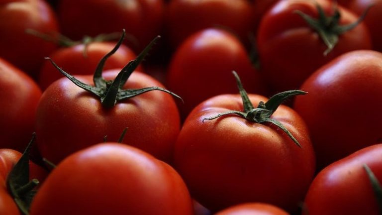 Türkiye’nin domates ihracatı 401 milyon doları aştı