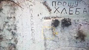 Ukrayna drone’u karşılaştığı zor durumdaki kadına yiyecek taşıdı