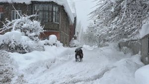Ülke genelinde soğuk hava hakim: Birçok ilde kar etkisini sürdürüyor