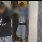 Van’da göçmen kaçakçılığı operasyonu