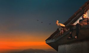 Yaralı Leylek Silyan’ın Hikayesini Anlatan ‘Silyan Efsanesi’, 11 Ocak Pazar 20.00’de National Geographic Ekranlarında!