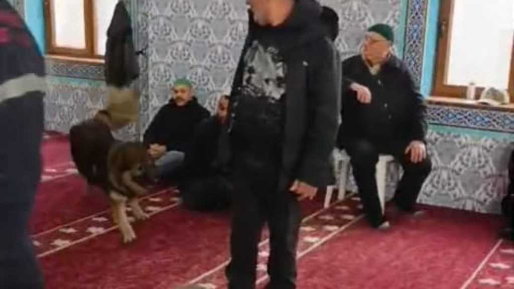 Zonguldak’ta camiye başıboş köpek girdi