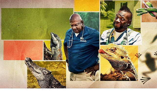 12 Bölümden Oluşan ‘Veteriner Dostlar’ın 5. Sezonu, 9 Şubat Pazartesi Saat 20.00’de National Geographic WILD Ekranlarında Başlıyor!