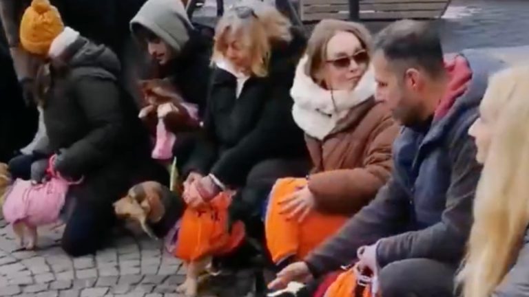 Ankara’da hayvanlar için eylem yapanlar sokak köpeğini uzaklaştırdı