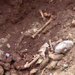 Antalya’da kazı çalışmalarında kemik parçaları bulundu