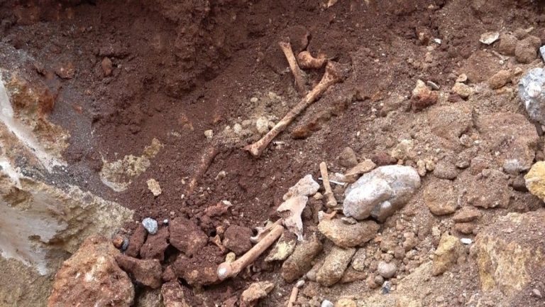 Antalya’da kazı çalışmalarında kemik parçaları bulundu