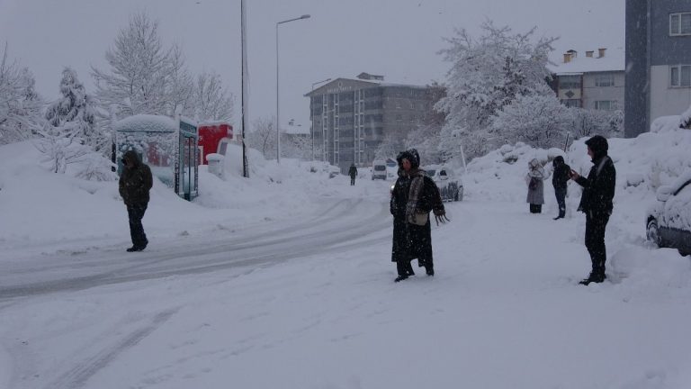 Bitlis ve Van’da 205 yerleşim yerinin yolu kardan kapandı