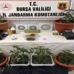 Bursa’da evini uyuşturucu serasına çevirdi
