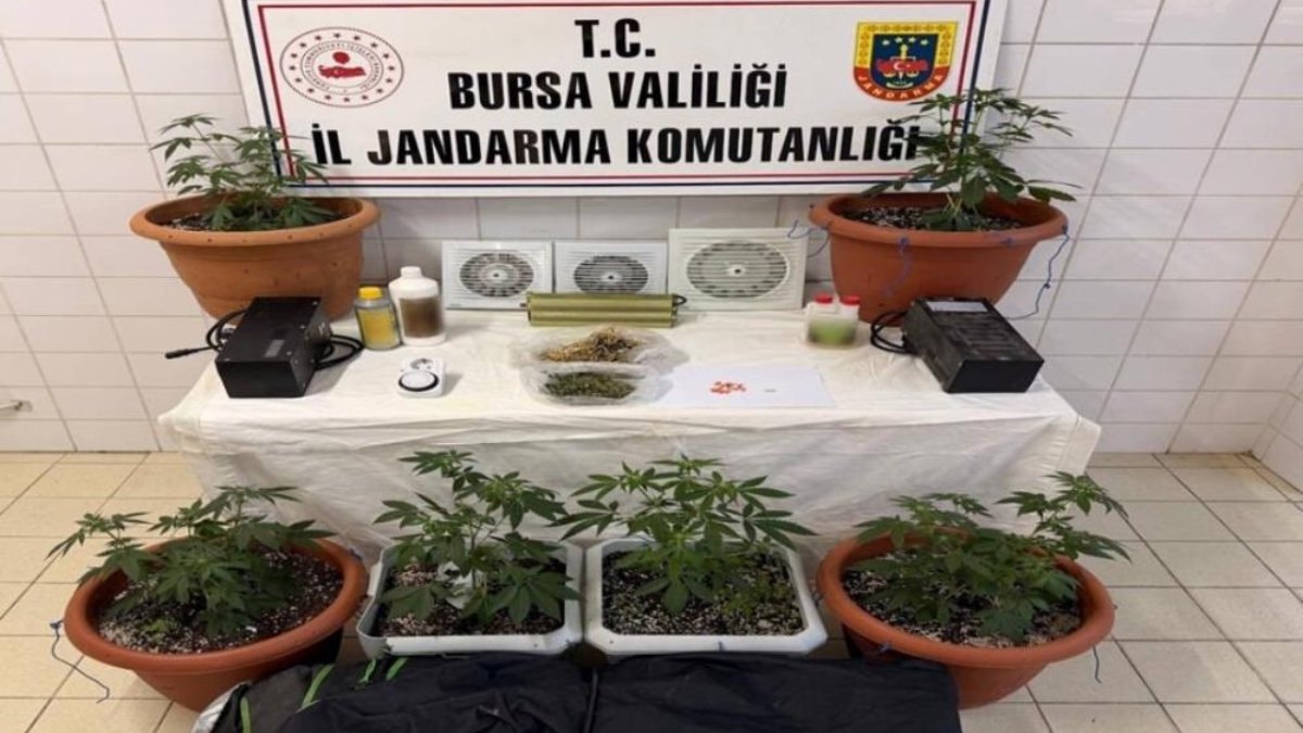 Bursa’da evini uyuşturucu serasına çevirdi