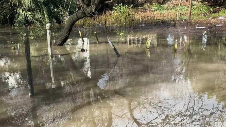 Çeşme’yi sağanak vurdu: Pazaryeri su altında kaldı
