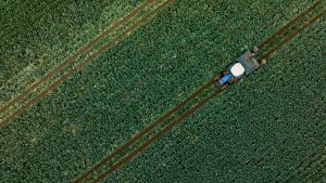 Çiftçilere 255,4 milyon lira tarımsal destekleme ödemesi