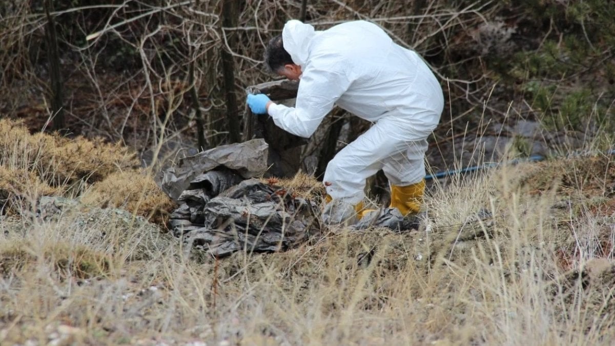 Çorum’daki cinayette yaşlı adamın kesik başı ormanda bulundu