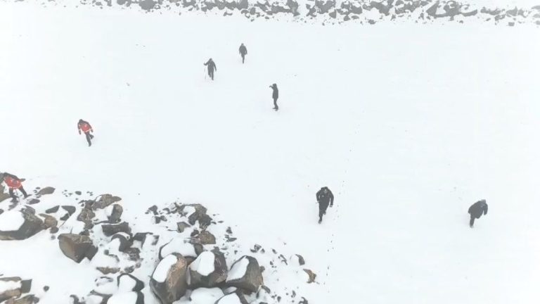 Diyarbakır’da kaybolan kadından iz yok