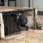 Düzce’de pasajın bodrumunda şüpheli ölüm