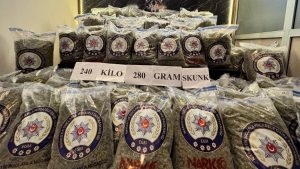 Edirne’de zehir sevkiyatına büyük darbe: 240 kilo skunk sergilendi