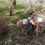 Elazığ’da kayıp şahsı arama çalışmaları 7. gününde devam ediyor