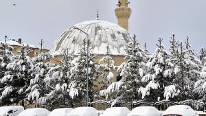 Erzurum’da kar yağışı: 775 mahalle yolu kapandı