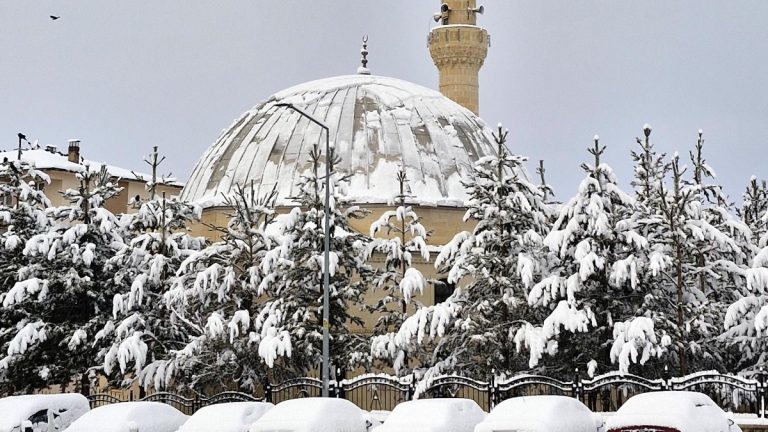 Erzurum’da kar yağışı: 775 mahalle yolu kapandı