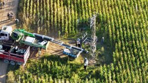 Güneydoğu enerji verileri: Şanlıurfa’da tüketilen elektriğin yarısı kaçak