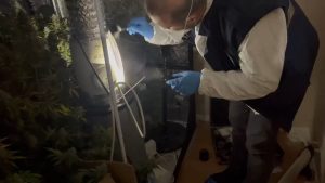 İstanbul Avcılar’da metruk binada uyuşturucu imalathanesi bulundu