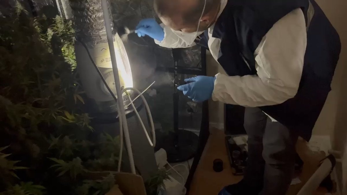 İstanbul Avcılar’da metruk binada uyuşturucu imalathanesi bulundu